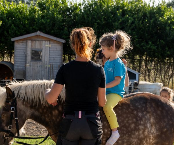 Fattoria Didattica Pony